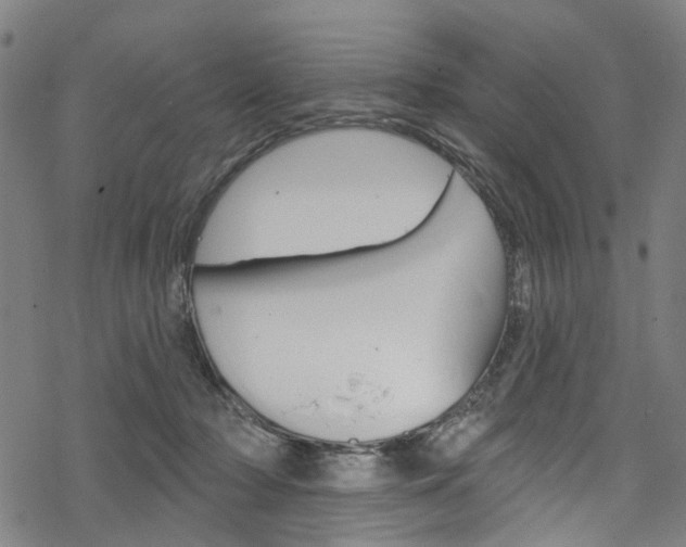 X0000068840318200605050950