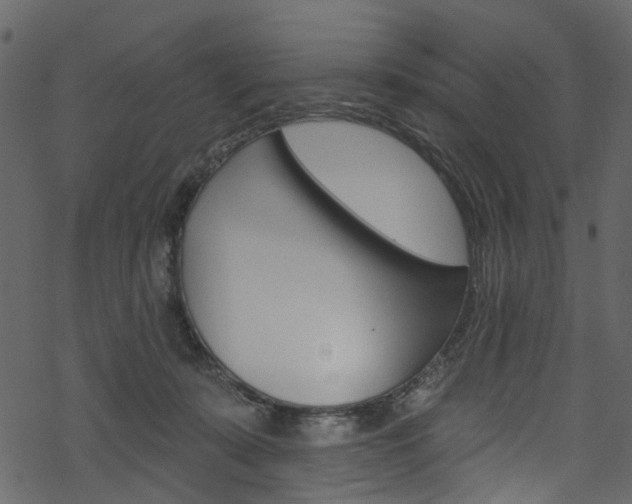 X0000068840319200605050950