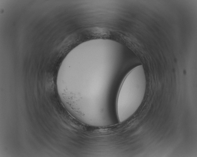 X0000068840320200605050950