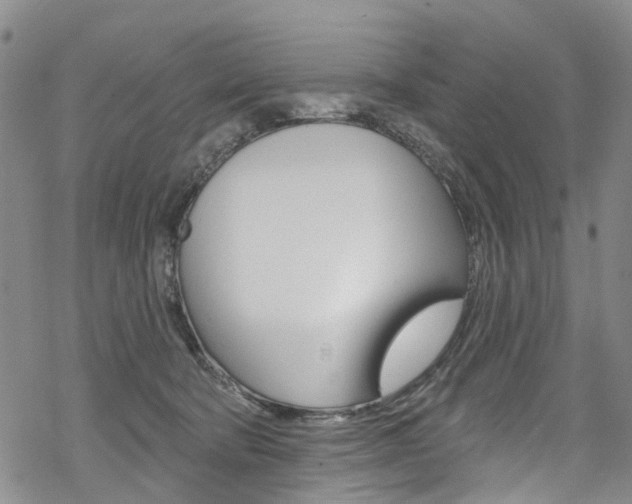 X0000068840322200605050950