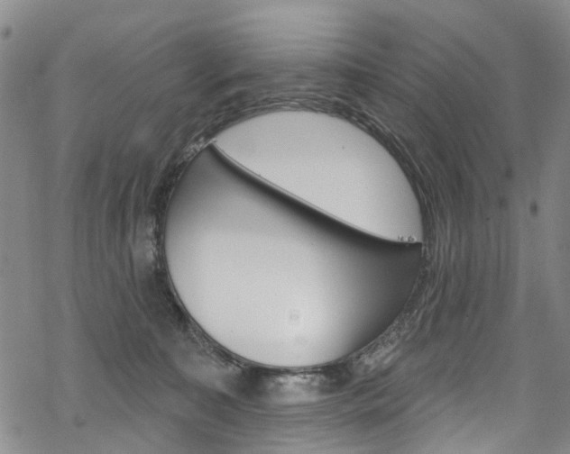 X0000068840323200605050950