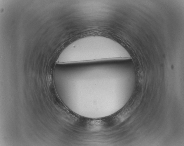 X0000068840324200605050950