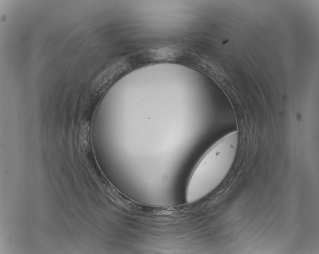 X0000068840325200605050950