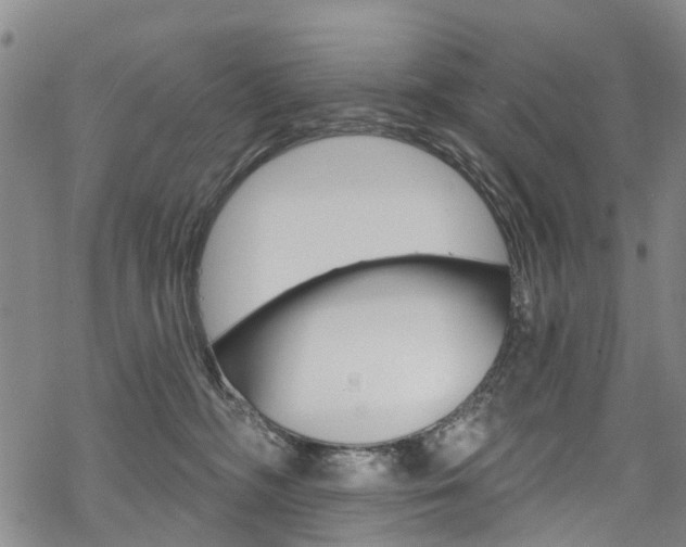 X0000068840326200605050950