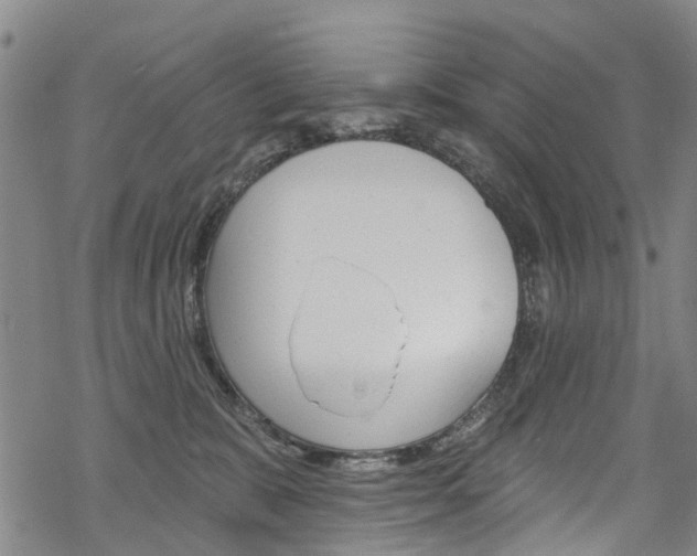 X0000068840327200605050950