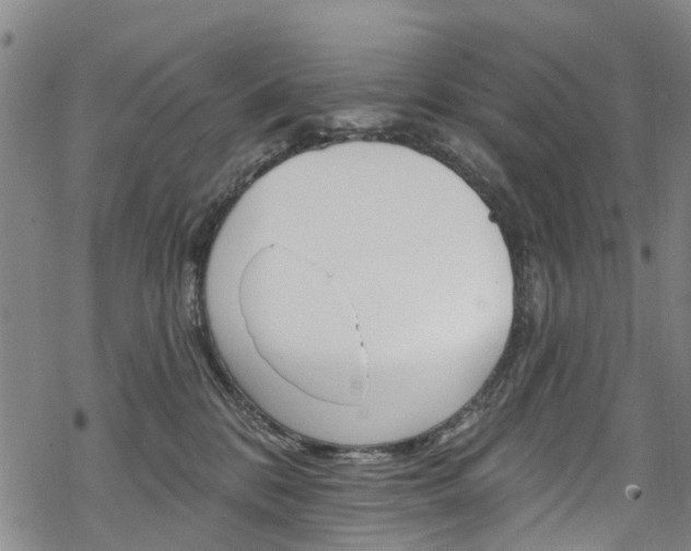 X0000068840328200605050950