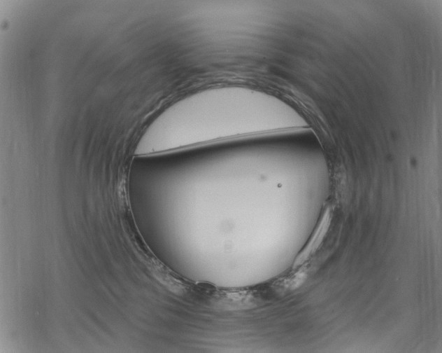 X0000068840329200605050950