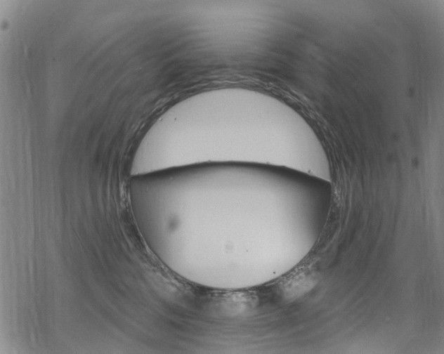 X0000068840330200605050950