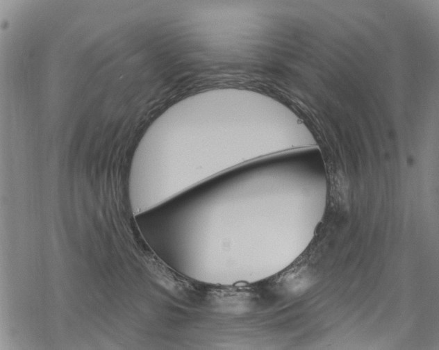 X0000068840331200605050950