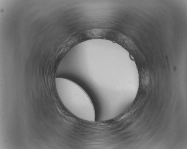 X0000068840332200605050950