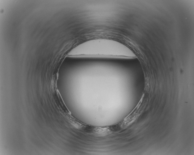 X0000068840333200605050950