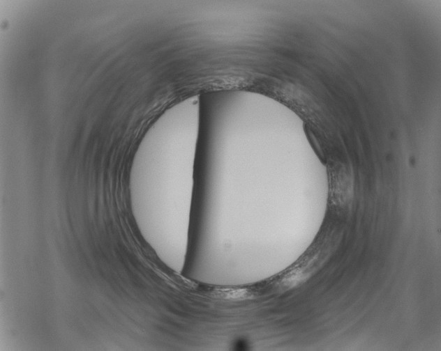 X0000068840334200605050950