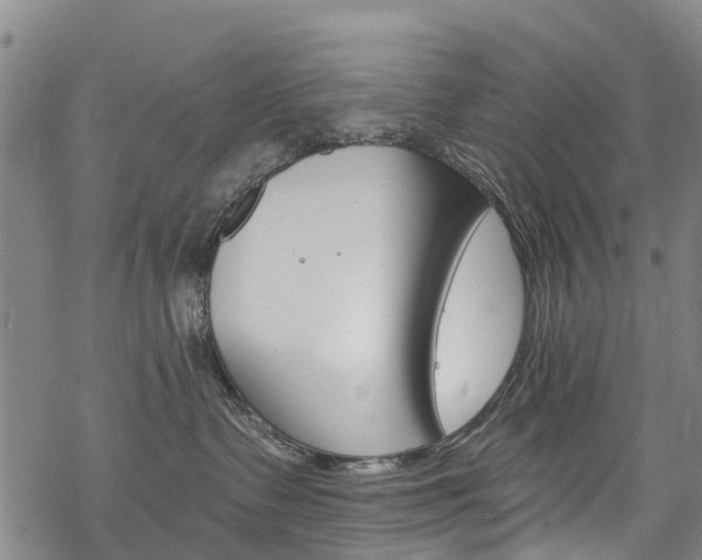 X0000068840335200605050950