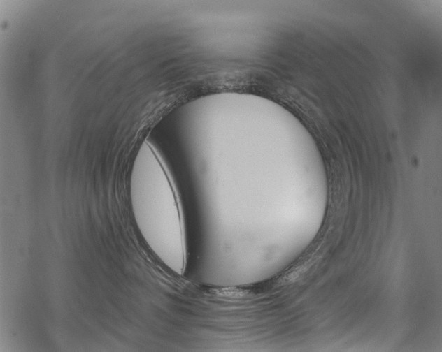 X0000068840336200605050950