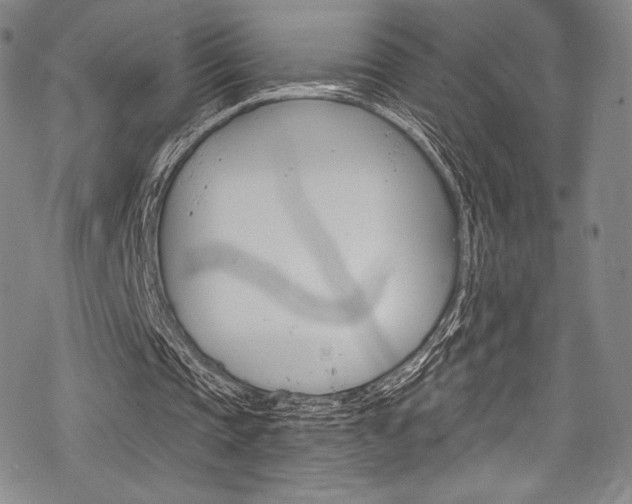 X0000068840337200605050949