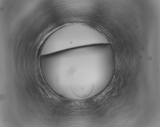 X0000068840338200605050949