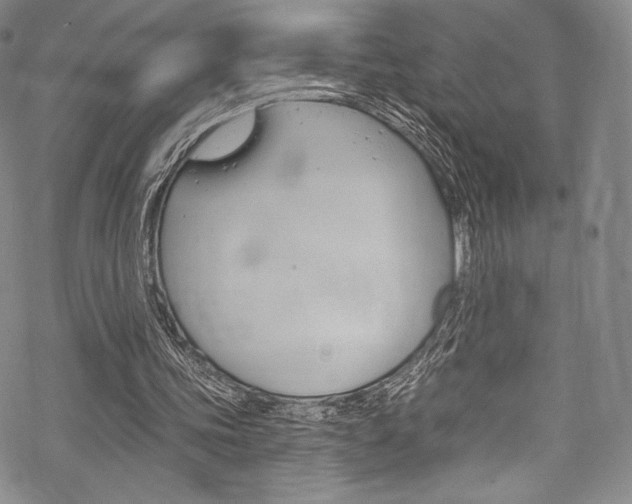 X0000068840339200605050949