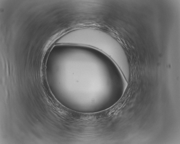 X0000068840340200605050949