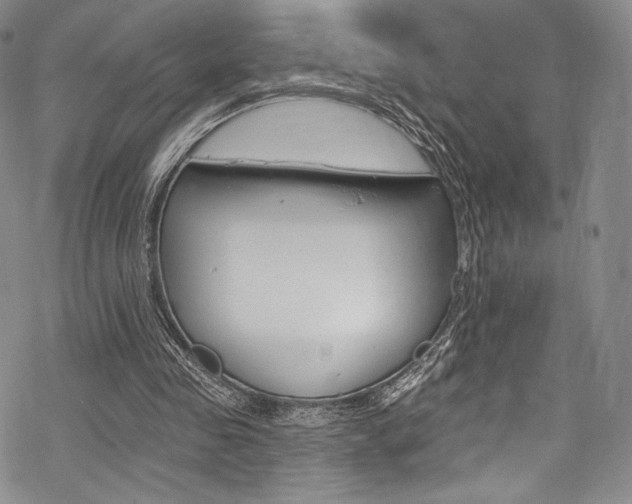 X0000068840341200605050949