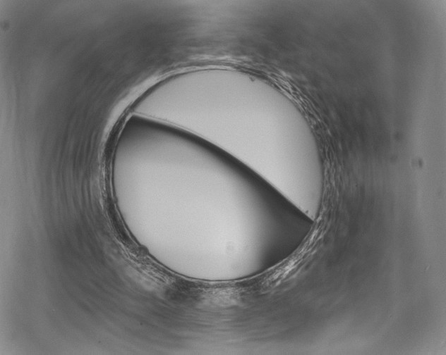 X0000068840342200605050949