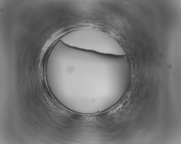 X0000068840343200605050949