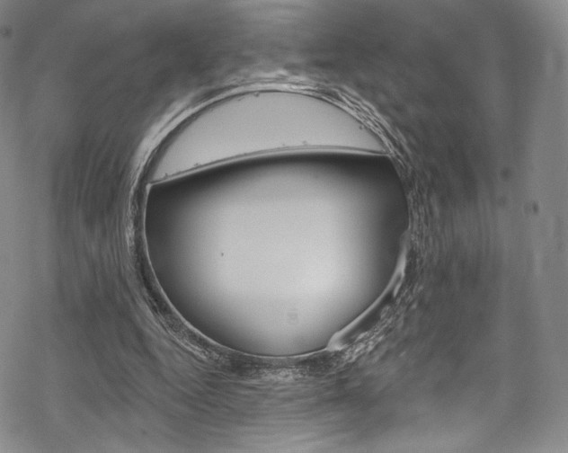 X0000068840344200605050949