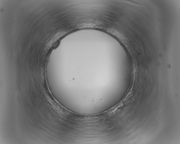 X0000068840345200605050949