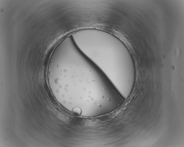 X0000068840346200605050949