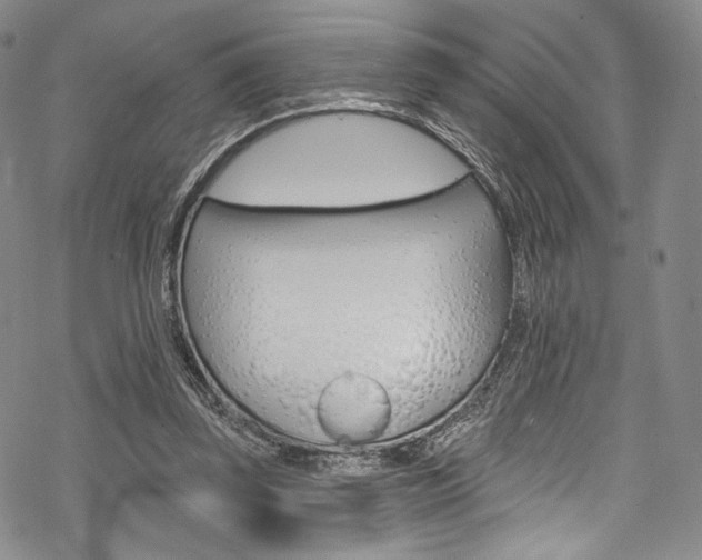 X0000068840347200605050949