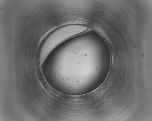 X0000068840348200605050949