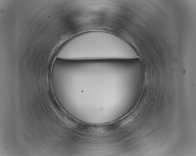 X0000068840349200605050949