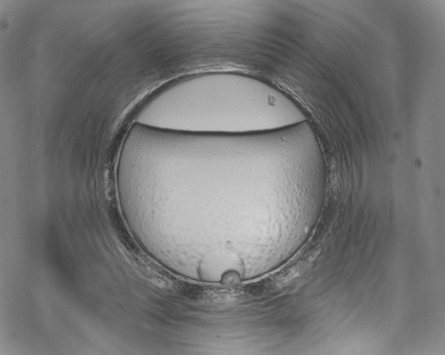 X0000068840351200605050949