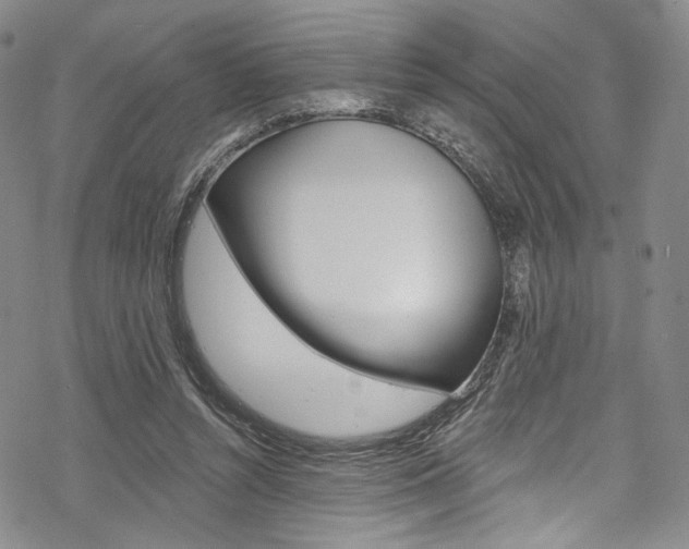 X0000068840352200605050949