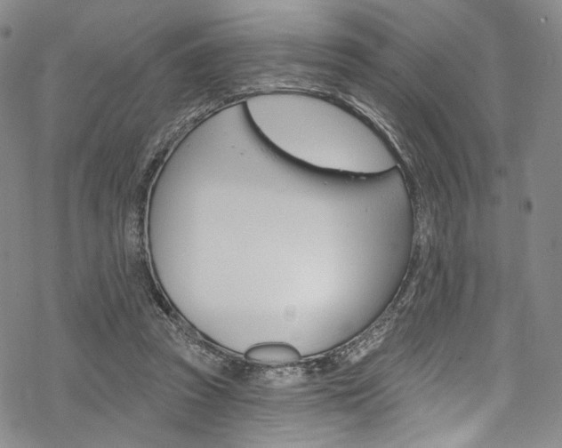 X0000068840353200605050949