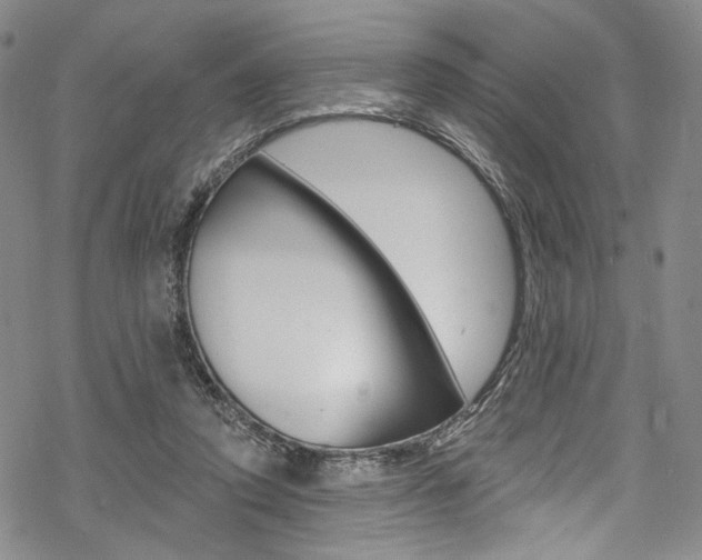 X0000068840354200605050949