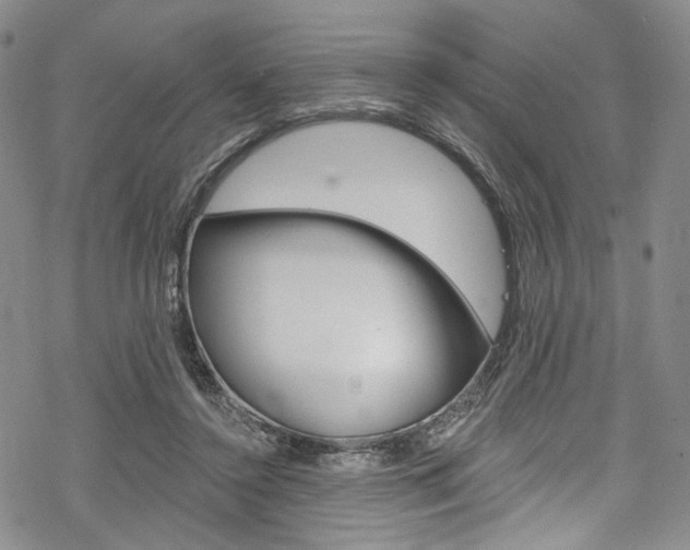 X0000068840356200605050949