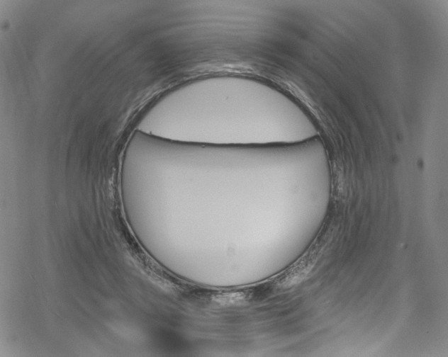 X0000068840357200605050949