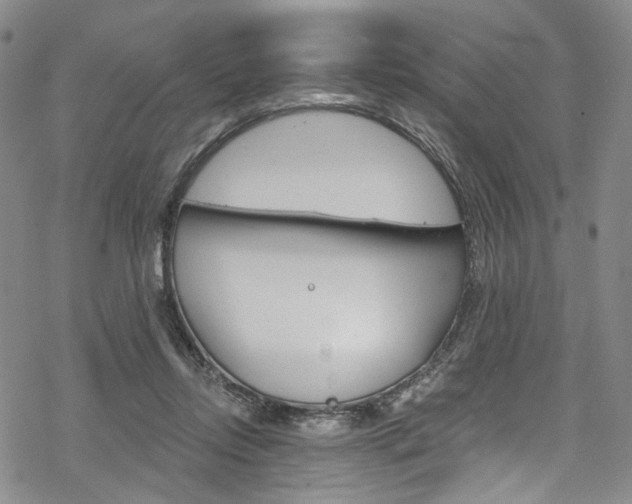 X0000068840358200605050949