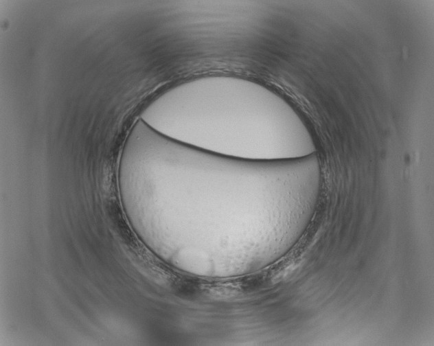 X0000068840359200605050949