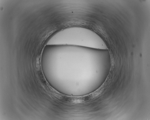 X0000068840360200605050949