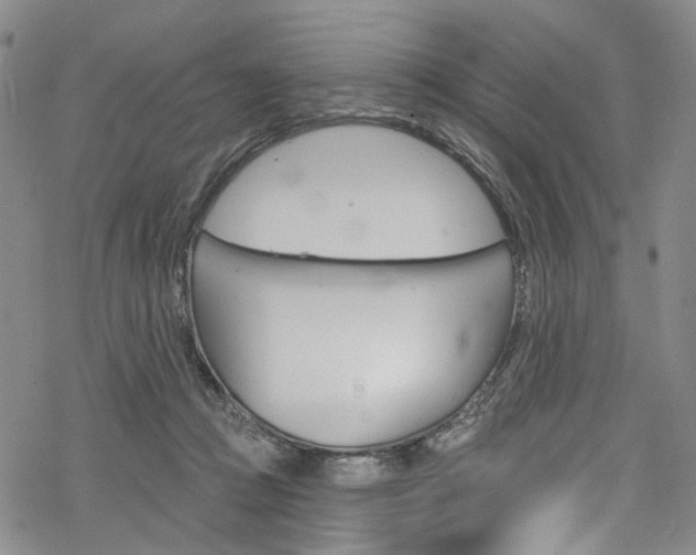 X0000068840361200605050949