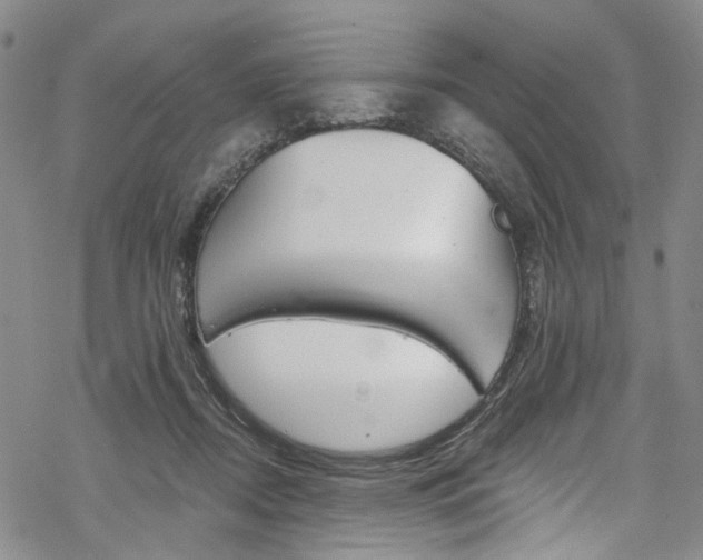 X0000068840362200605050949