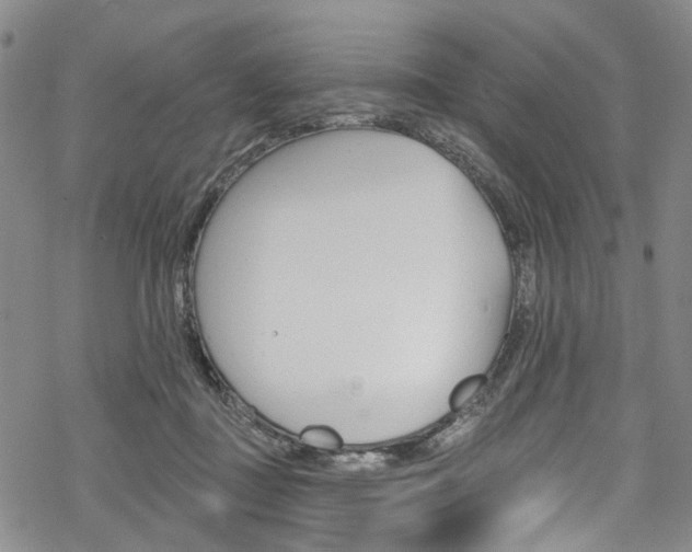 X0000068840363200605050949