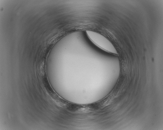 X0000068840364200605050949