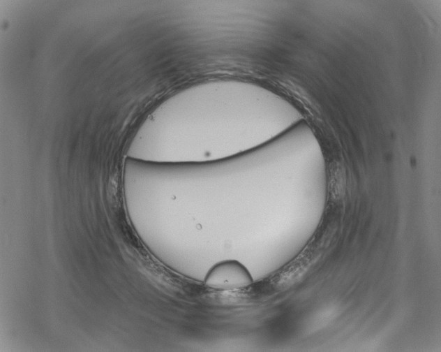 X0000068840365200605050949