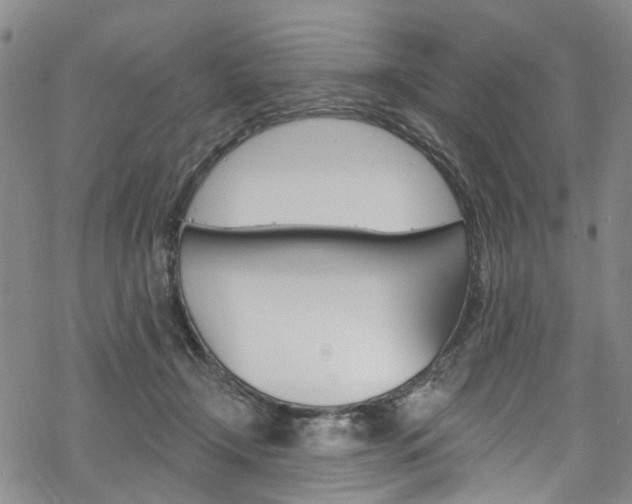 X0000068840366200605050949