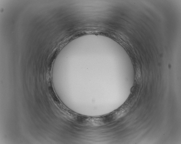 X0000068840367200605050949