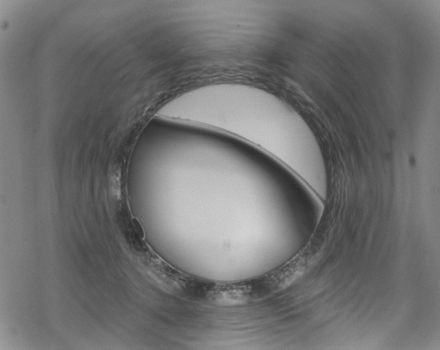 X0000068840368200605050949