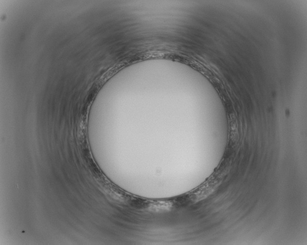 X0000068840369200605050949