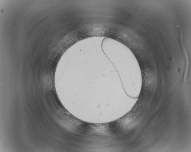 X0000068840370200605050949